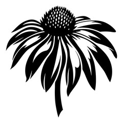 Black and White Illustration of a Single Echinacea Flower with Bold Petals and a Detailed Center