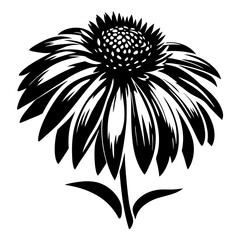 Black and White Illustration of a Beautiful Daisy Flower with Petals and Stem