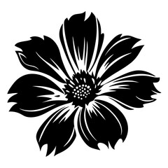 Black and White Cosmos Flower Illustration Botanical Floral Design Element