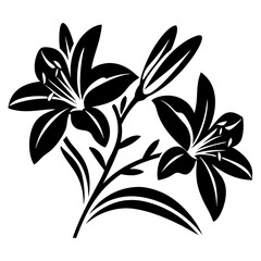 Elegant Black and White Lily Flower Illustration Artistic Floral Design Botanical Art Graphic Lily Bouquet