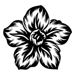 A Black and White Detailed Illustration of a Striking Flower with Intricate Petals