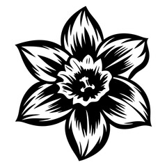 A Black and White Illustration of a Daffodil Flower with Detailed Petals and Stamen