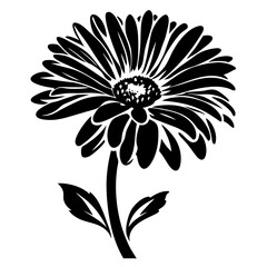 Black and White Gerbera Daisy Flower Silhouette Illustration Botanical Floral Design Element