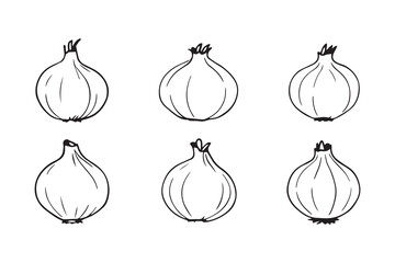 Onion line art