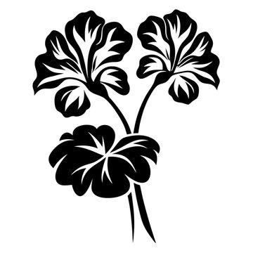 black and white geranium flowers clip art preview
