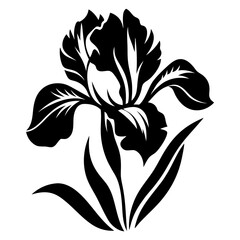 Elegant Black and White Iris Flower Silhouette Botanical Illustration