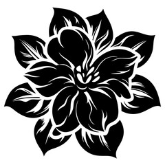 Bold Black and White Floral Illustration of a Single Blooming Flower with Eight Petals