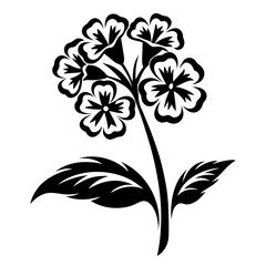 Elegant Black and White Floral Illustration of a Primula Flower with Leaves