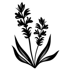 Elegant Black Silhouette of Two Hyacinth Flowers with Lush Green Leaves