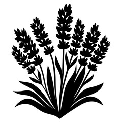 Silhouette of a Bunch of Lavender Flowers Botanical Illustration Black and White Graphic Design Element