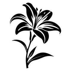 Elegant Black and White Lily Flower Illustration Botanical Graphic Design