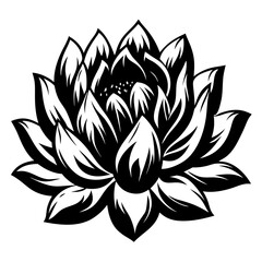 Black and White Vintage Style Lotus Flower Illustration Botanical Floral Design Element