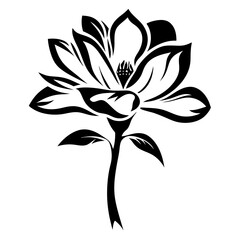 Elegant Black and White Magnolia Flower Artistic Design Botanical Illustration Floral Graphic