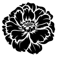 Bold Black and White Silhouette of a Large Detailed Flower Blossom