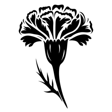 recommend clip art: Black and White Stylized Carnation Flower Illustration Graphic Design