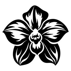 A Stunning Black and White Stylized Orchid Flower Illustration