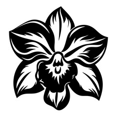 A Striking Black and White Illustration of a Dendrobium Orchid Flower