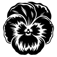 Black and White Pansy Flower Illustration Botanical Art Graphic Design