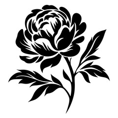 Elegant Black and White Peony Flower Illustration Floral Design Botanical Art