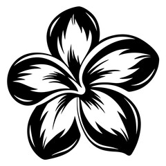 A Striking Black and White Illustration of a Plumeria Flower with Detailed Petals