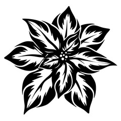 A Striking Black and White Illustration of a Poinsettia Flower with Intricate Detail