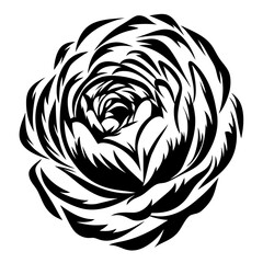 Bold Black and White Ranunculus Flower Graphic Design Illustration