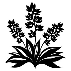 Stylized Black and White Floral Illustration of Three Blooming Plants with Lush Foliage