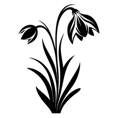 Elegant Black and White Silhouette of Two Snowdrop Flowers and Lush Green Leaves