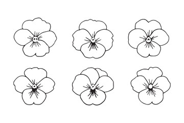 Pansy black line art
