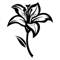 Elegant Black and White Lily Flower Illustration Botanical Design Graphic Art