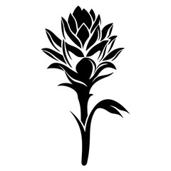 Black and White Stylized Torch Ginger Flower Botanical Illustration