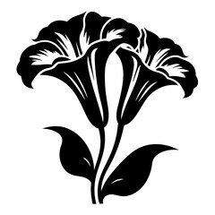 Elegant Black and White Illustration of Two Calla Lilies with Leaves