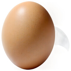 Cartoon Egg Icon &ndash; Flat Vector Style