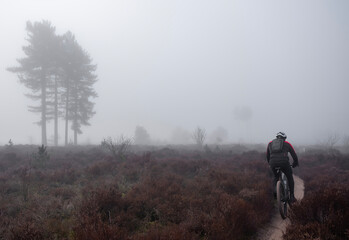 man on mountainbike in morning mist on heath in dutch province of utrecht