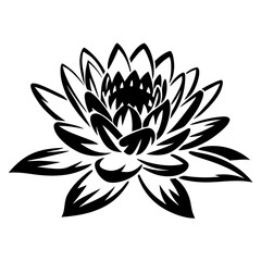Black and White Stylized Lotus Flower Illustration Artistic Design Graphic Botanical Floral Element Water Lily