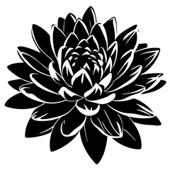 A Stunning Black and White Silhouette of a Dahlia Flower Botanical Illustration