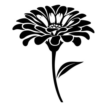 recommend clip art: A Black and White Silhouette of a Single Zinnia Flower with Stem and Leaf