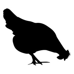 silhouette of a chicken