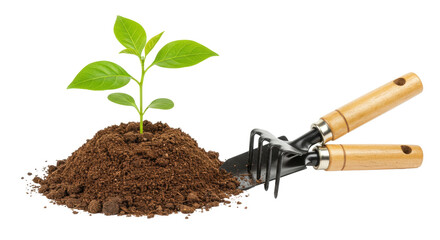 Isolated Sprout with Gardening Tools