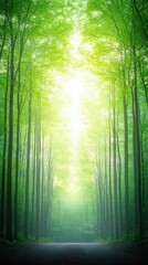 nature conservation concept. Lush green forest pathway with sunlight filtering through trees.