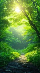 Fototapeta premium nature conservation concept. Serene forest path illuminated by soft sunlight.