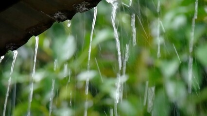 Close-Up of Rainwater Cascading from Roof Against Lush Greenery Background in a Tropical Setting