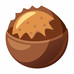 Nut shell isolated on a white background, showcasing its textured surface and natural color variations.