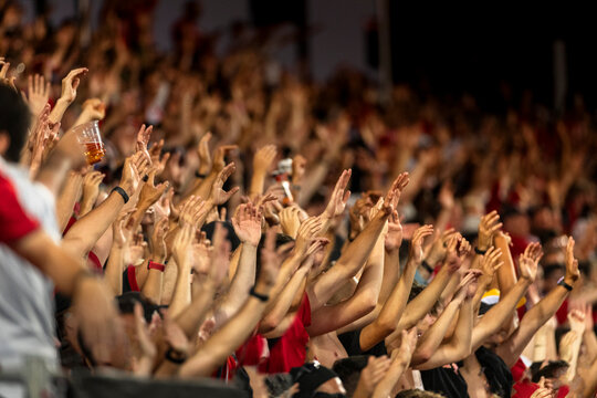 Fans cheer and raise hands at a sporting event