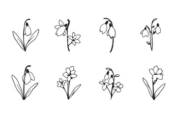 Snowdrop line art