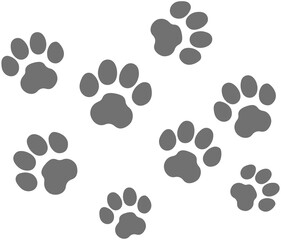 Fototapeta premium Dog and cat Footprint 