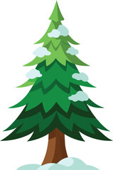 Pine/Fir Tree with Snow Cap