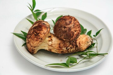 国産松茸