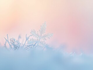 Fototapeta premium Frozen Beauty