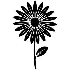 white flower on black background